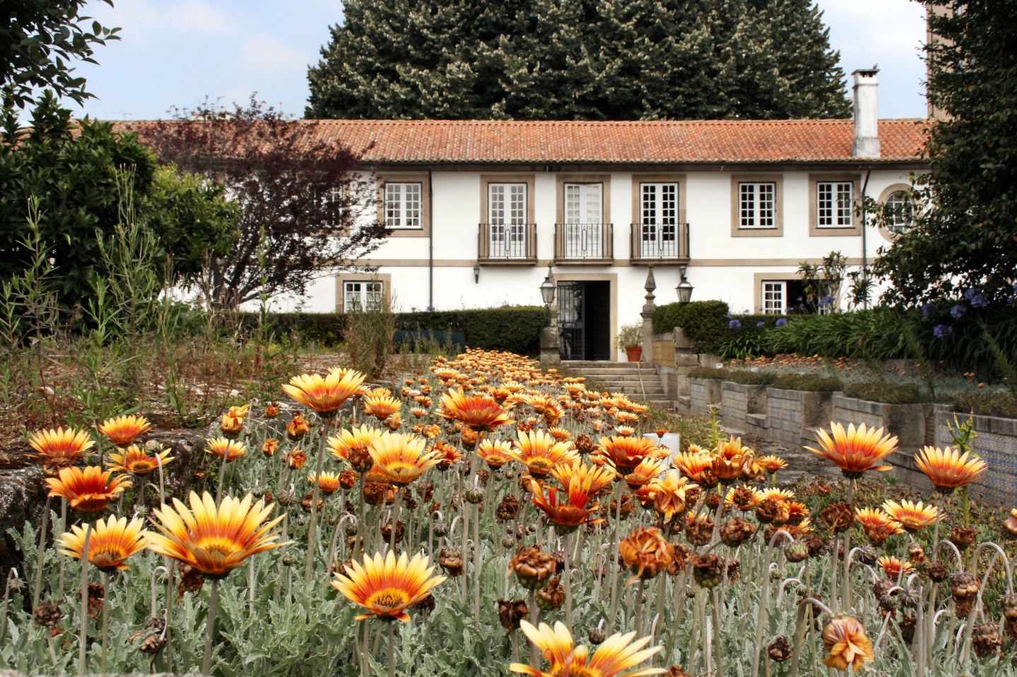 Imagem de capa de Pedrouços e Águas Santas