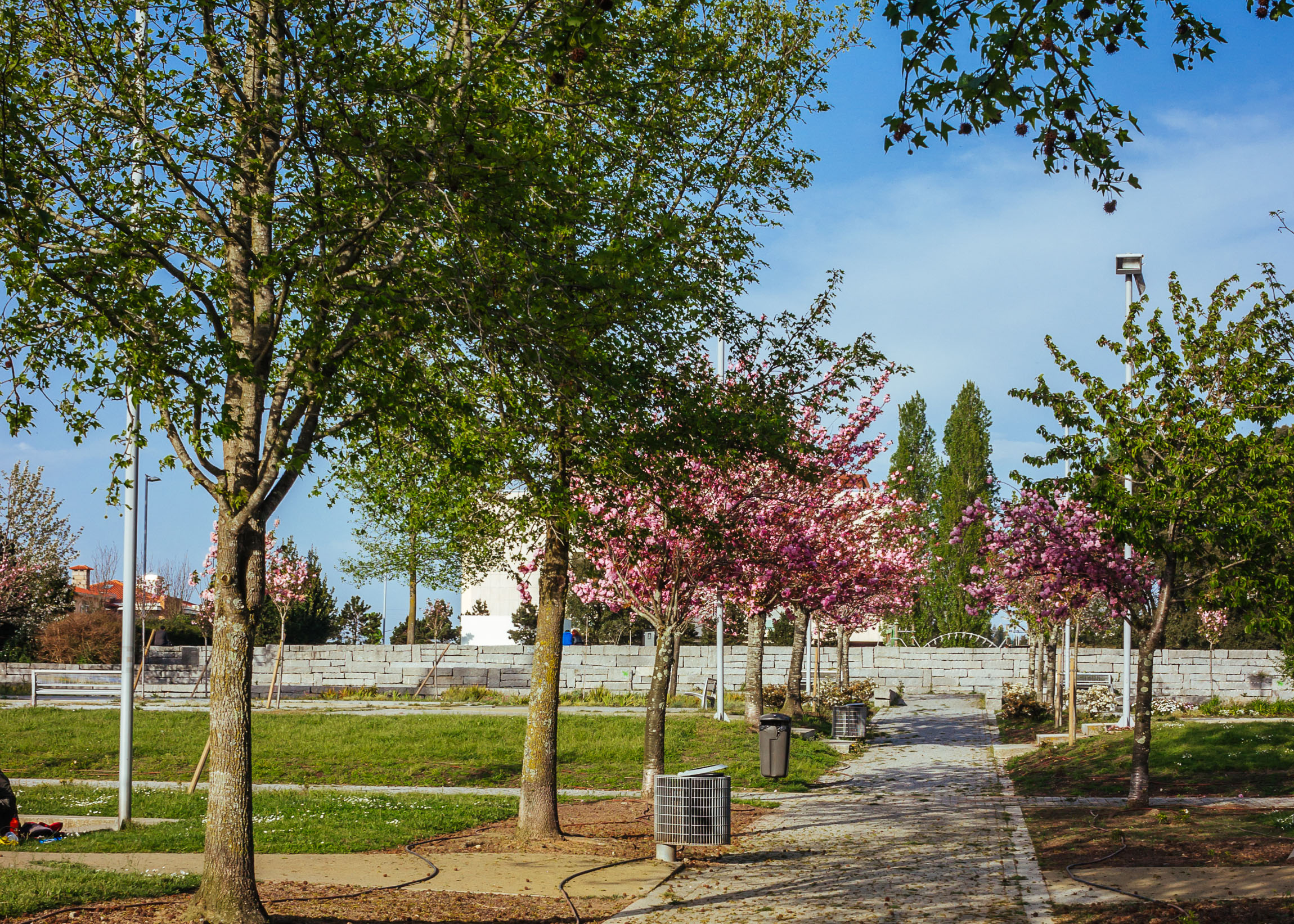 Parque de Quires
