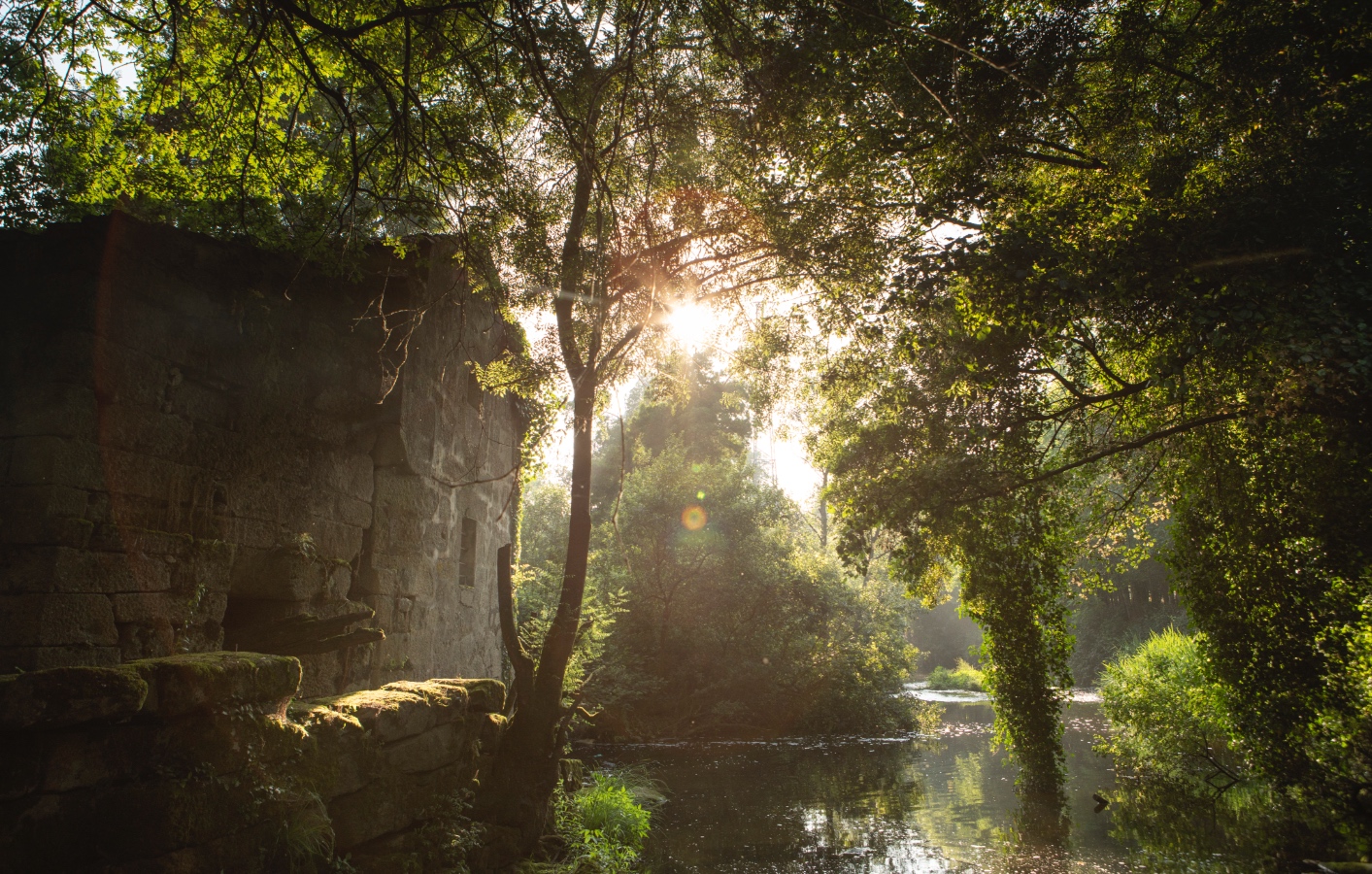 Rio Leça e moinho