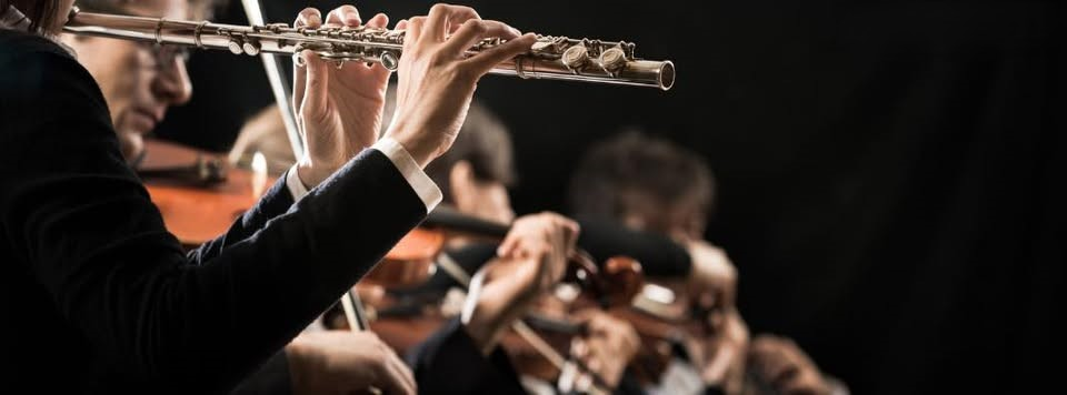 Conservatório de Música da Maia