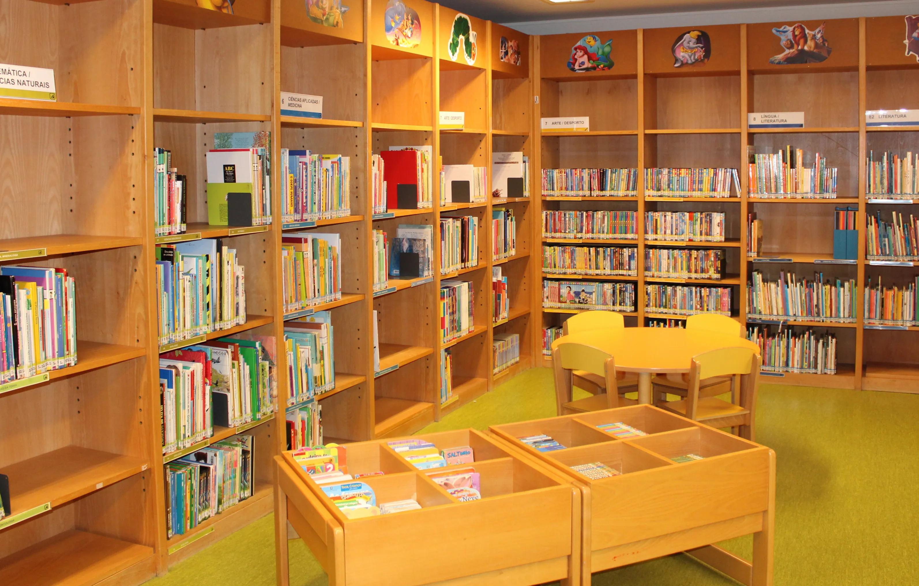 Biblioteca Municipal Dr. José Vieira de Carvalho 6
