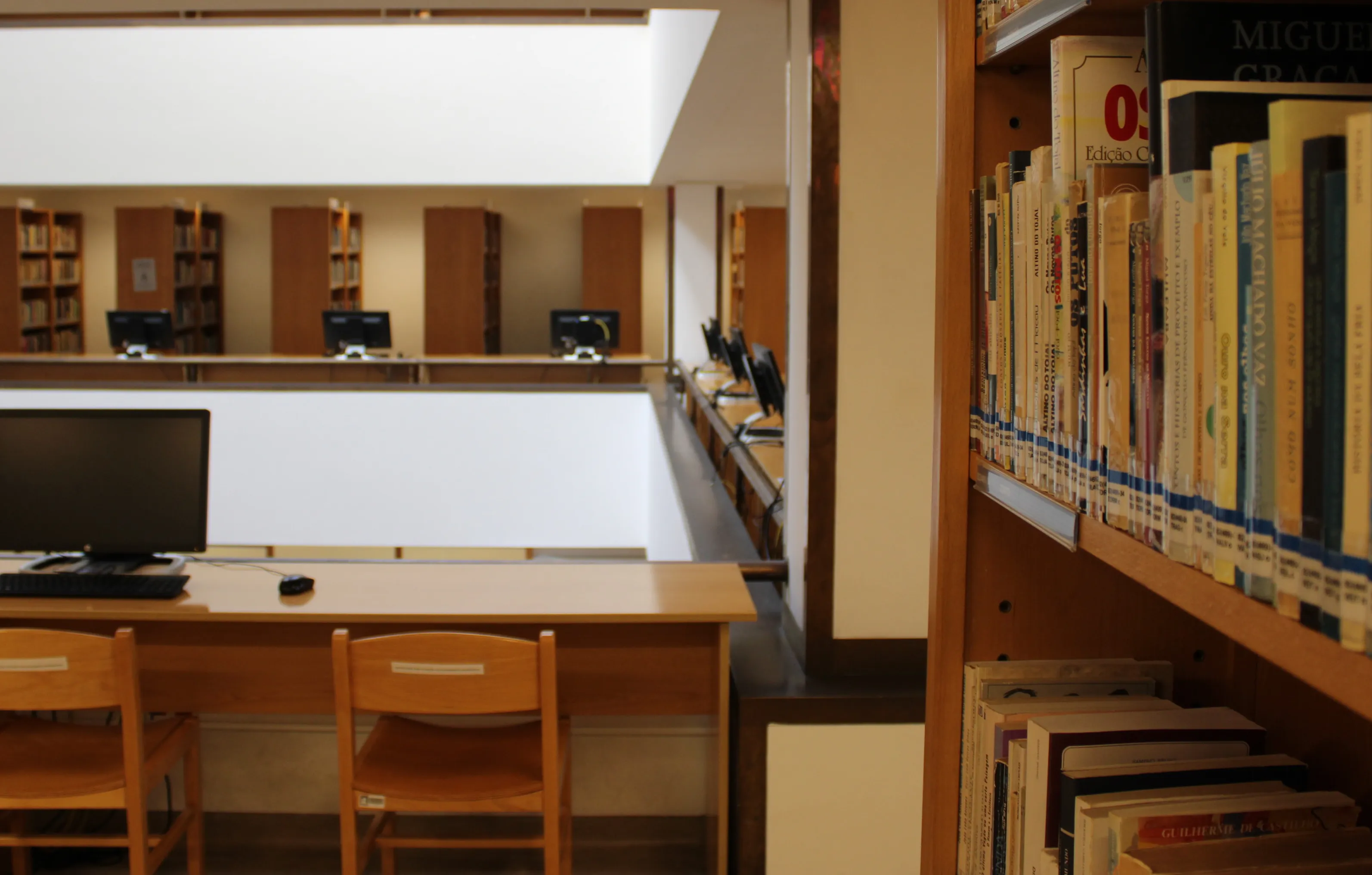 Biblioteca Municipal Dr. José Vieira de Carvalho 2