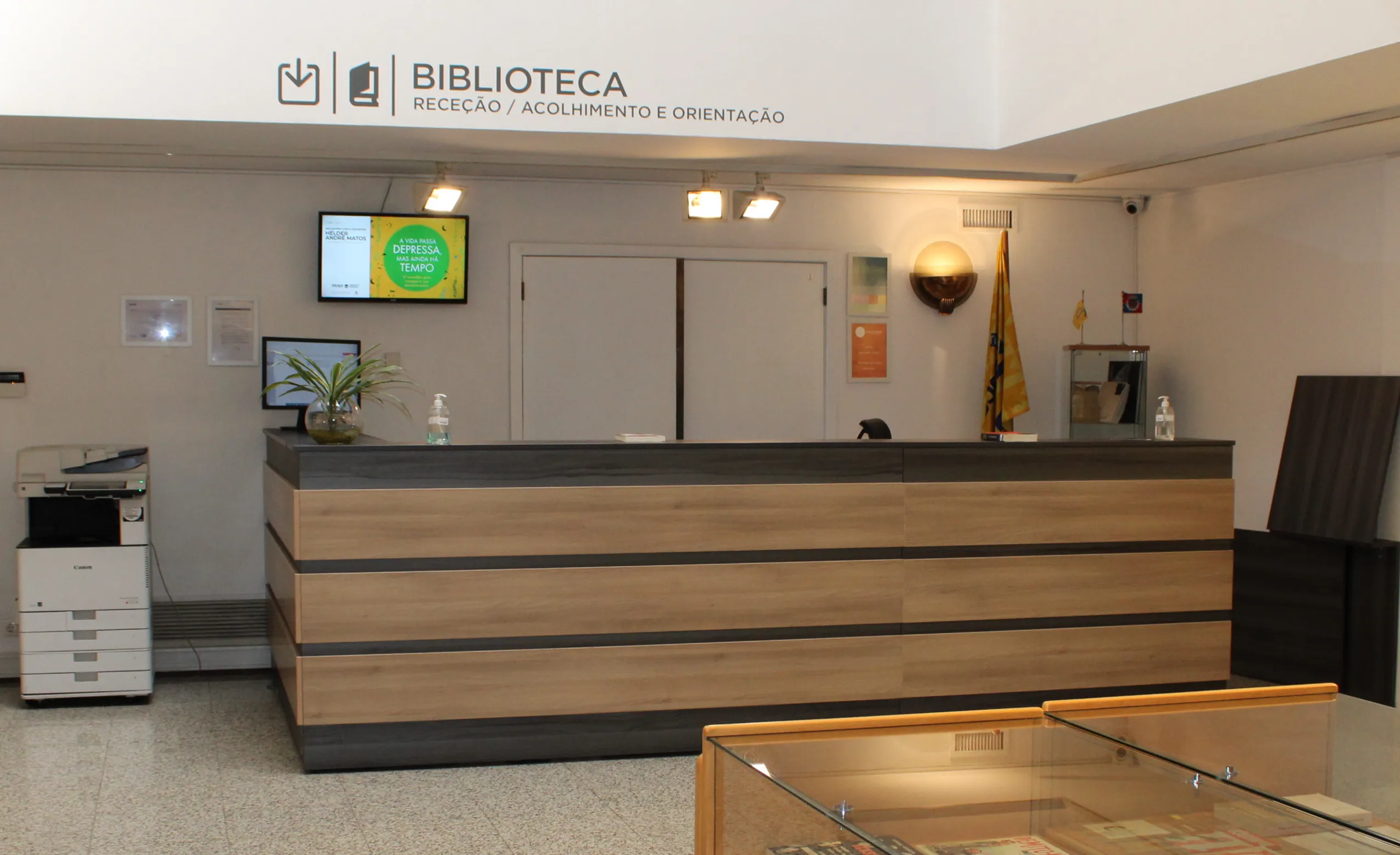 Biblioteca Municipal Dr. José Vieira de Carvalho 9