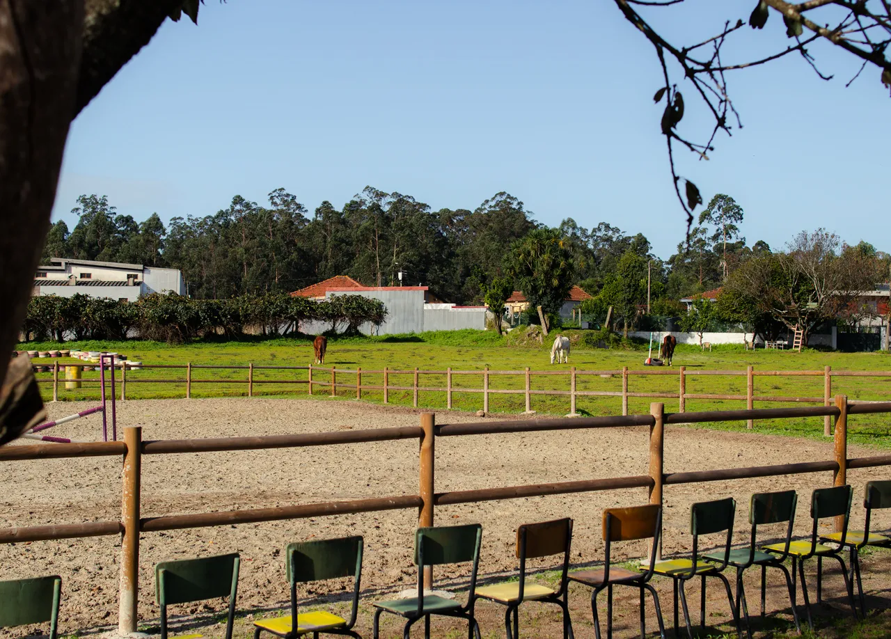 Mundo Racional - Quinta Pedagógica 1