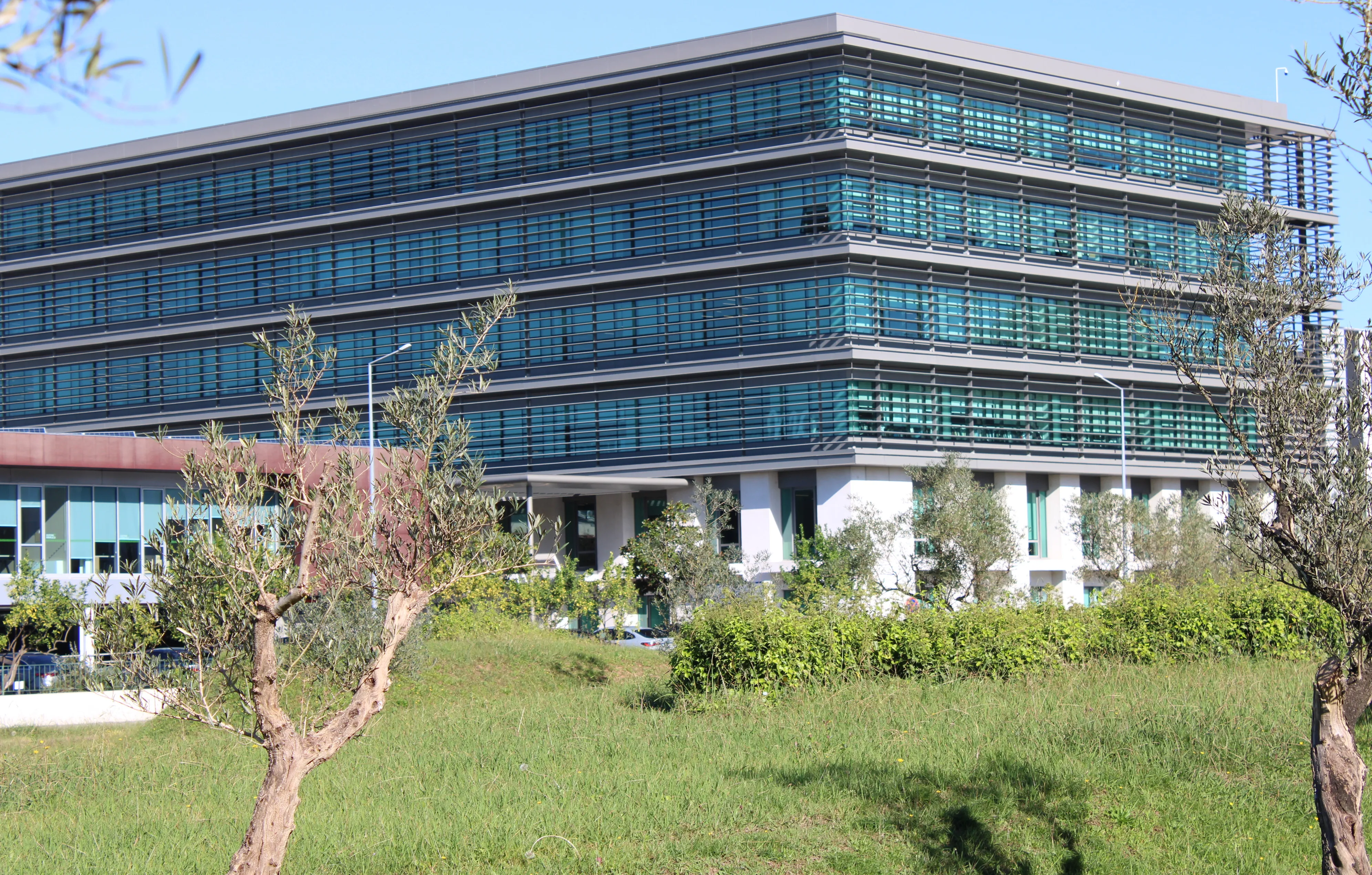 Sonae - Sociedade Nacional de Estratificados, SGPS, S.A. 1