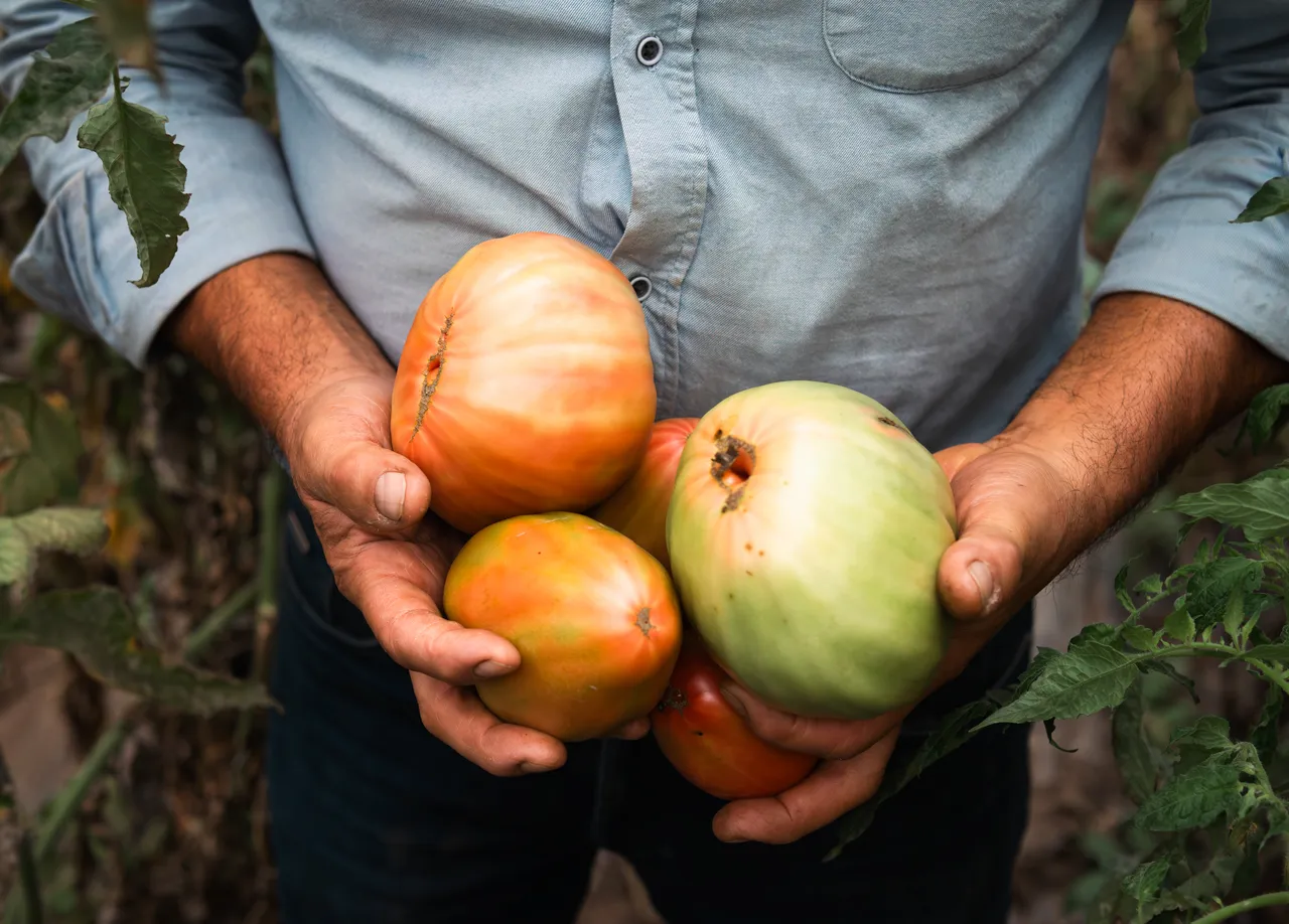 Casa Agrícola Joaquim Araújo 1